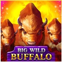 Logo of Big Wild Buffalo from Belatra Games at Kaleo Casino