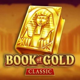 game logo by Playson on kaleo.eu.com